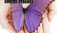 alchemy-process-butterfly